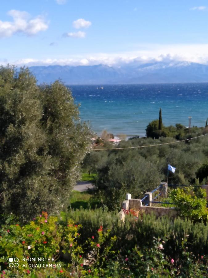 Villa Panorama Michalis Haikos Two Minutes Walk To The Beach Peroulia Kompoi Exterior photo